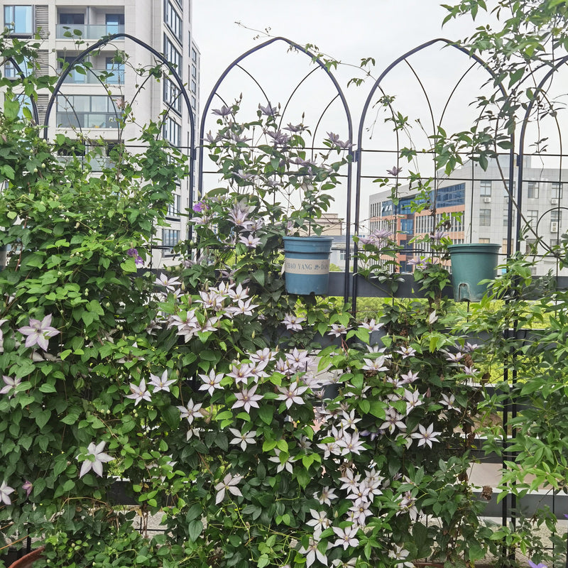 Metal Garden Trellis Rustproof Trellis For Climbing Plant, Outdoor Flower Support