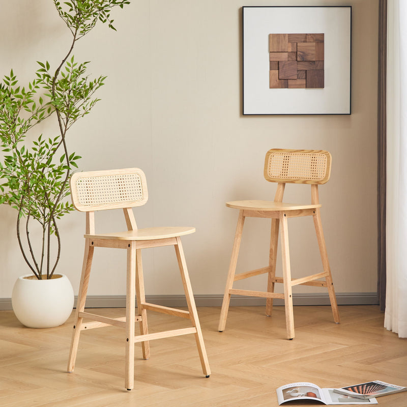 Bari - Indoor Wood Barstool (Set of 2)