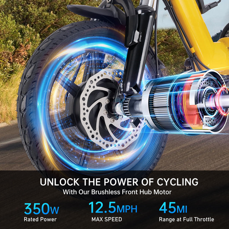 Folding Electric Trike With 350W Peak Motor, 480Wh Removable Battery, 2 Seat Design